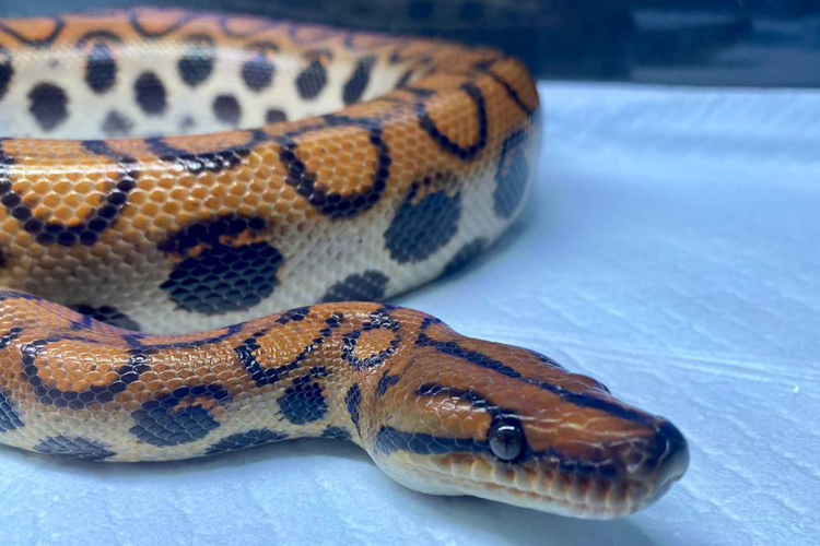 コンセプト画像